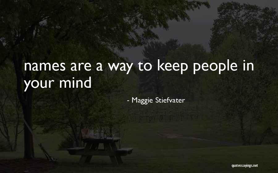 Erfahrene Quotes By Maggie Stiefvater Erfahrene Quotes By Maggie Stiefvater