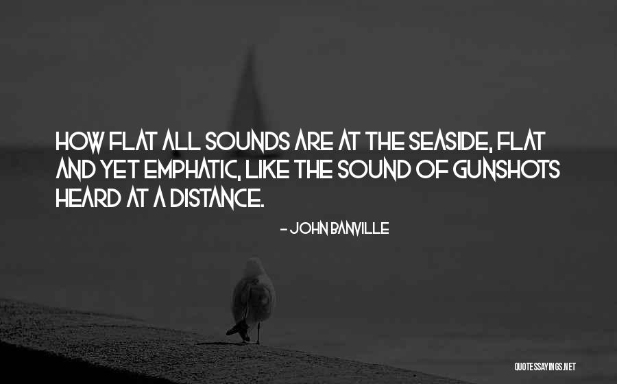 Erfolgreiche Menschen Quotes By John Banville Erfolgreiche Menschen Quotes By John Banville