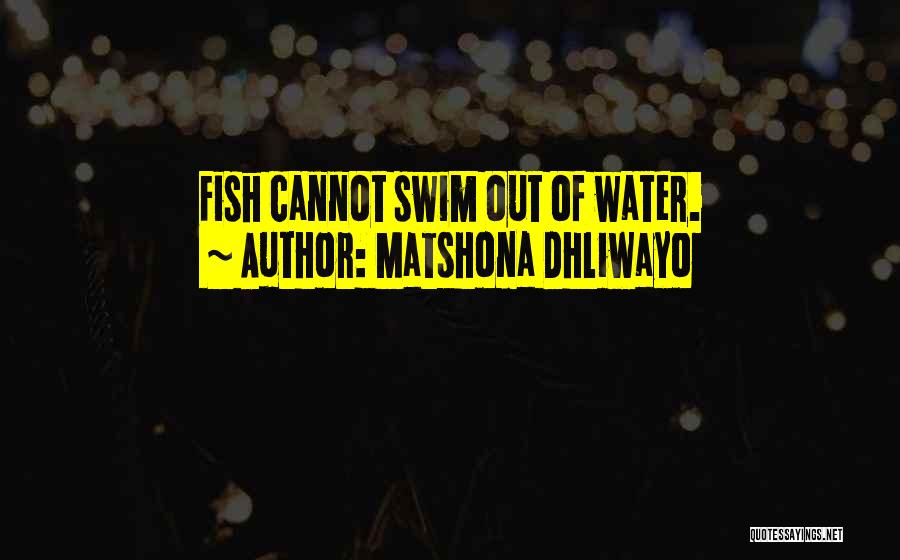 Ergere Sinonimo Quotes By Matshona Dhliwayo