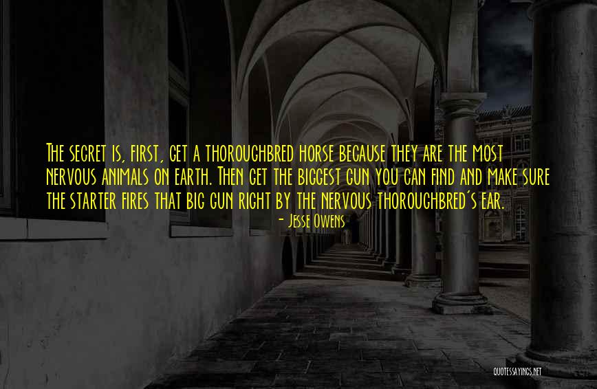 Erguero Quotes By Jesse Owens Erguero Quotes By Jesse Owens