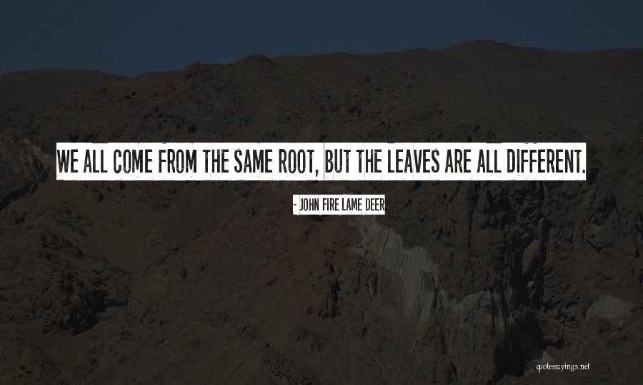 Erguido Definicion Quotes By John Fire Lame Deer Erguido Definicion Quotes By John Fire Lame Deer