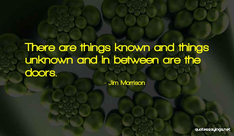 Erianica Quotes By Jim Morrison