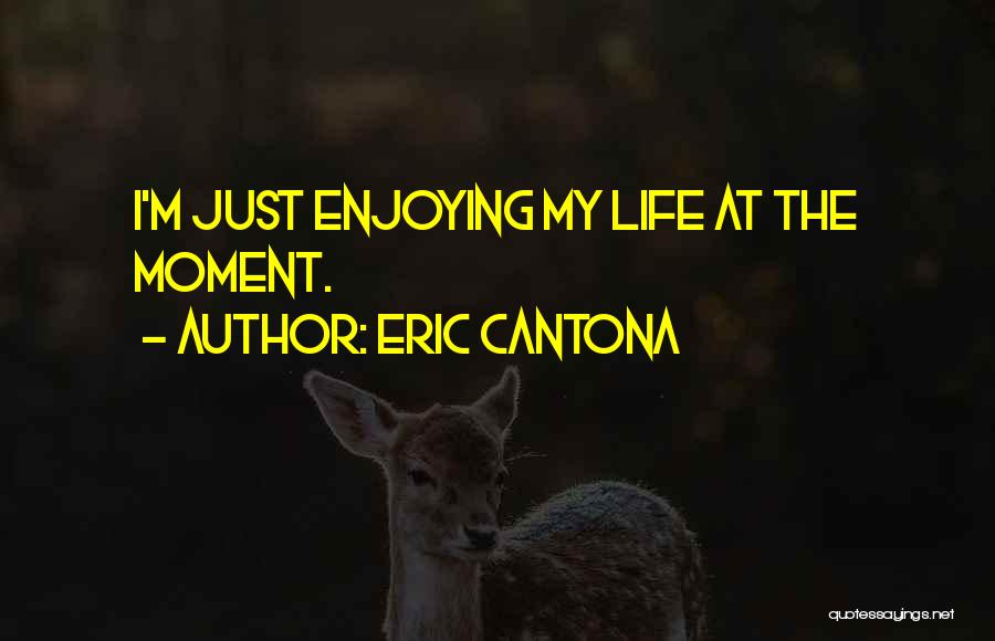 Eric Cantona Quotes 1240596