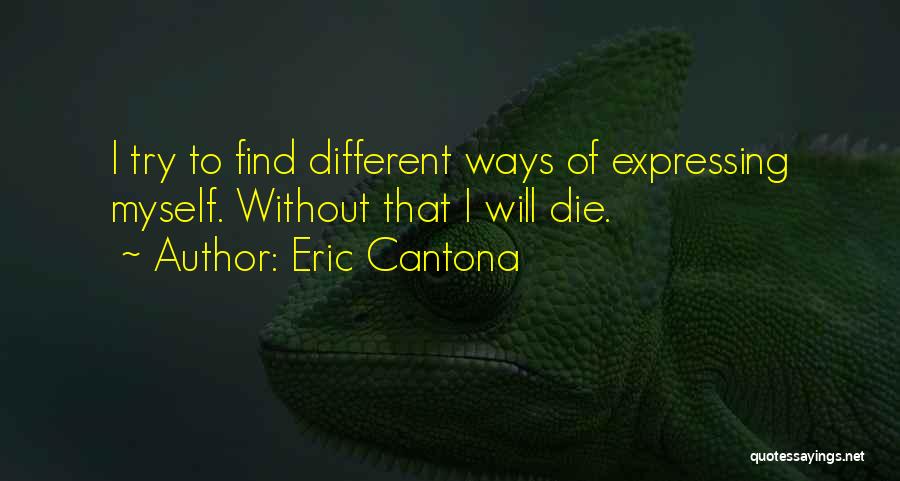 Eric Cantona Quotes 1867764