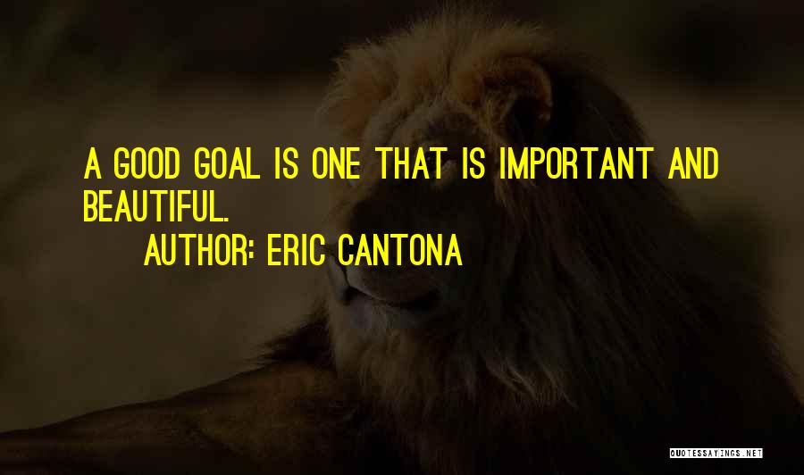 Eric Cantona Quotes 255008