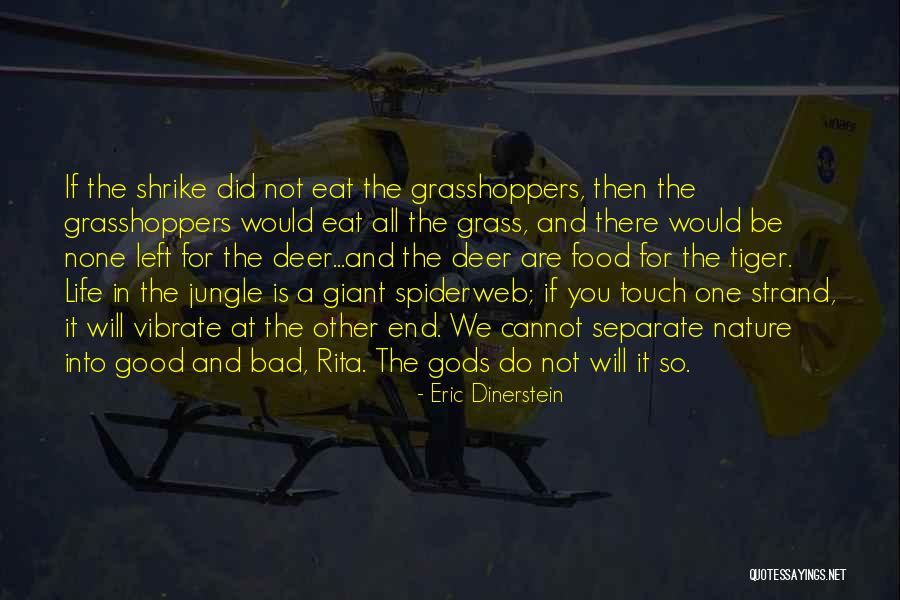 Eric Dinerstein Quotes 1911869 Eric Dinerstein Quotes 1911869