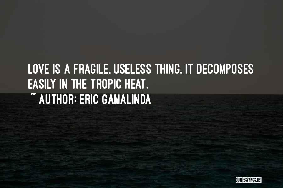 Eric Gamalinda Quotes 1721788