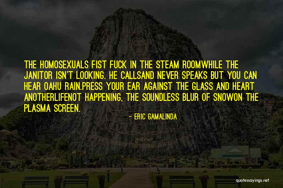 Eric Gamalinda Quotes 988253