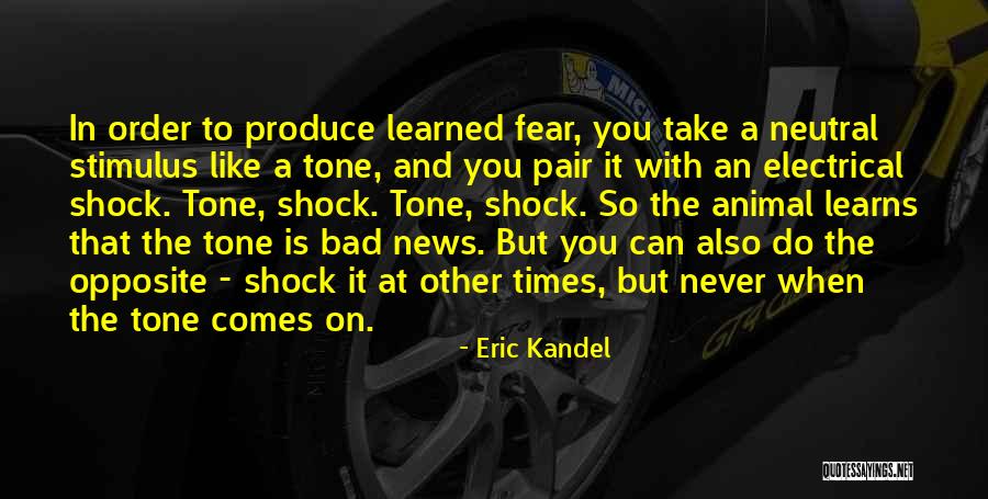 Eric Kandel Quotes 904912