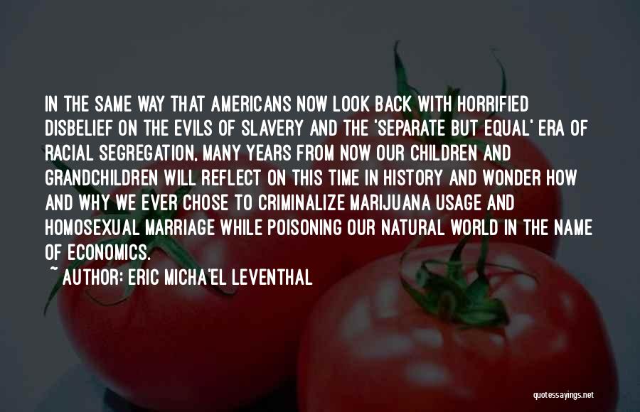Eric Micha'el Leventhal Quotes 2046448