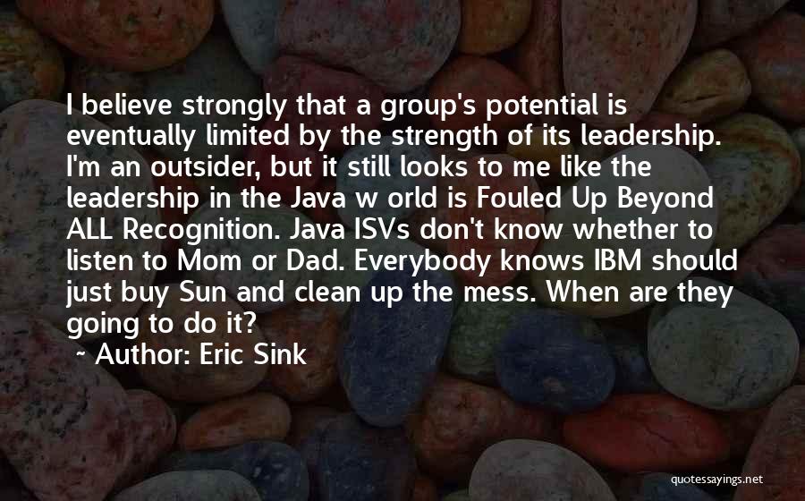 Eric Sink Quotes 2251266