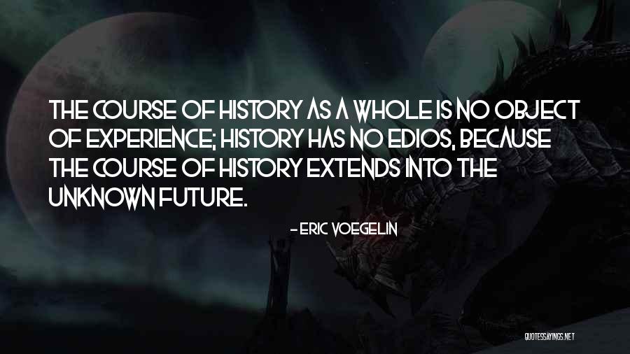 Eric Voegelin Quotes 1378892