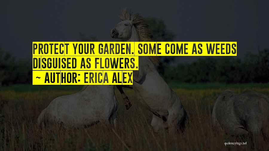 Erica Alex Quotes 113656