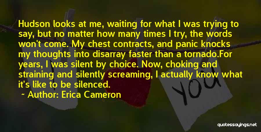 Erica Cameron Quotes 699057 Erica Cameron Quotes 699057