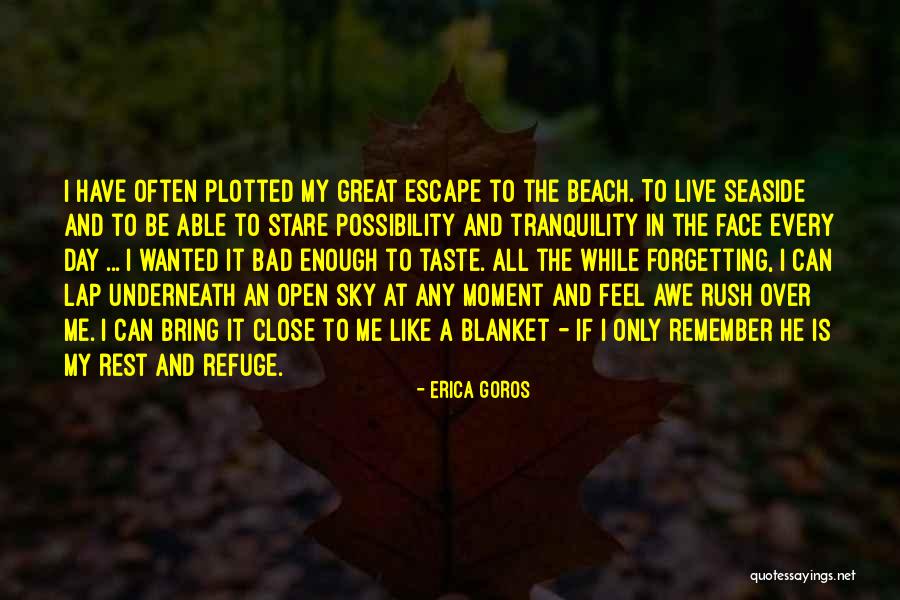 Erica Goros Quotes 771127