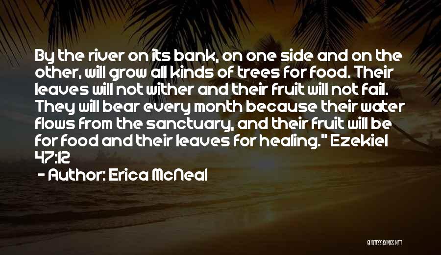 Erica McNeal Quotes 1412575