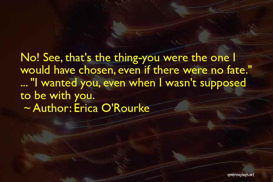 Erica O'Rourke Quotes 312518