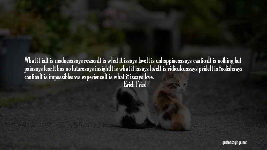 Erich Fried Quotes 2044274 Erich Fried Quotes 2044274