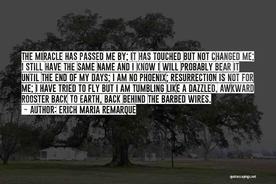 Erich Maria Remarque Quotes 864281