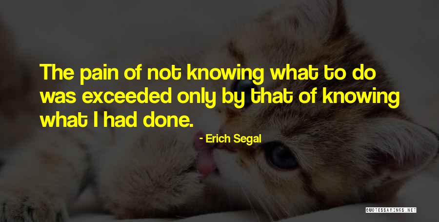 Erich Segal Quotes 1232075