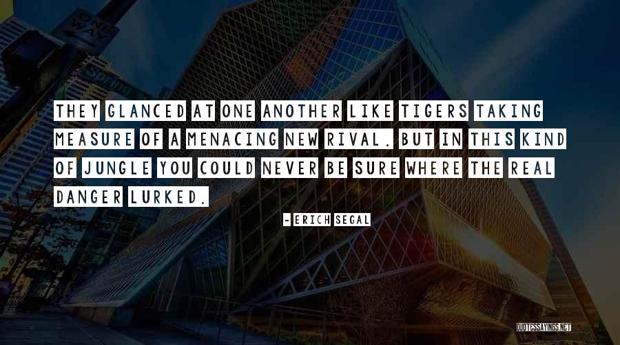 Erich Segal Quotes 80136 Erich Segal Quotes 80136