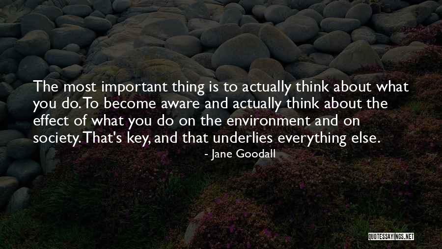 Erienne Jenkins Quotes By Jane Goodall Erienne Jenkins Quotes By Jane Goodall