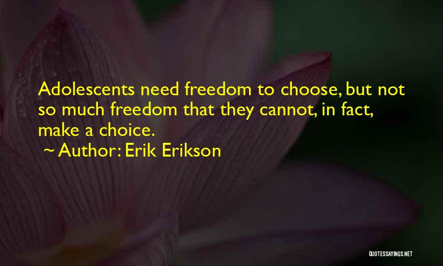 Erik Erikson Quotes 1868953