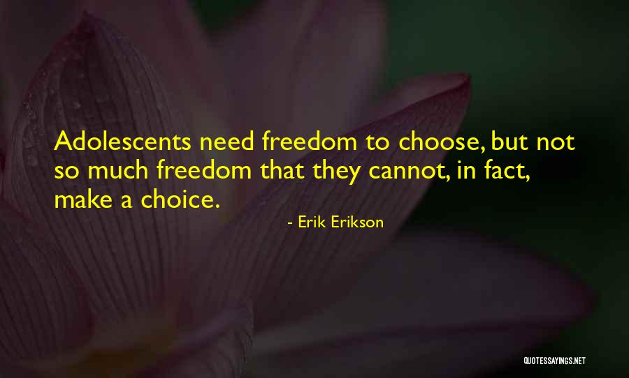 Erik Erikson Quotes 1868953