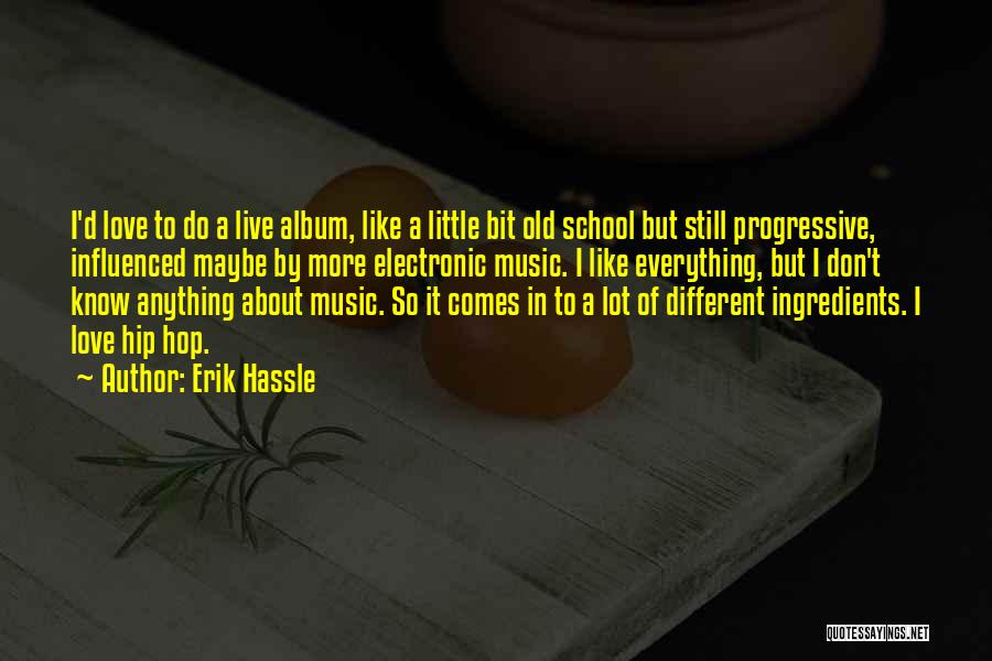 Erik Hassle Quotes 1163702