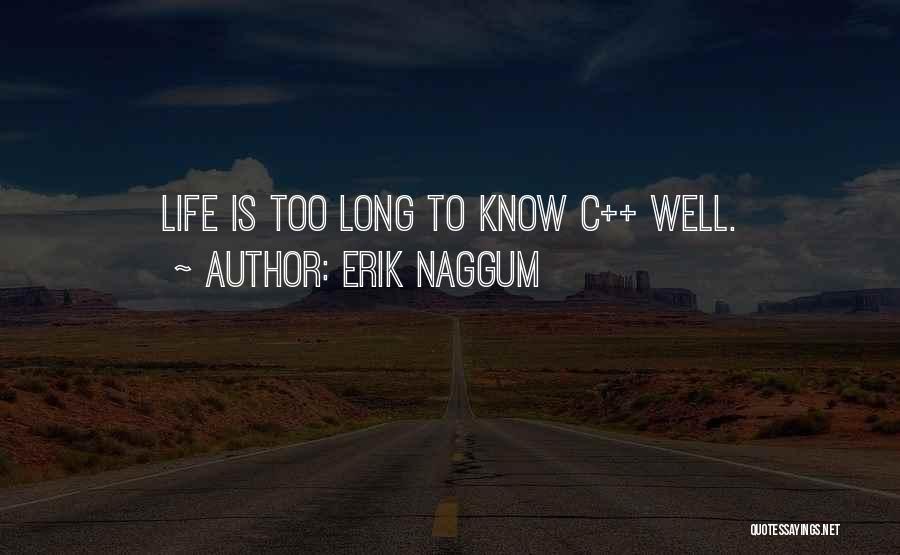Erik Naggum Quotes 1009530