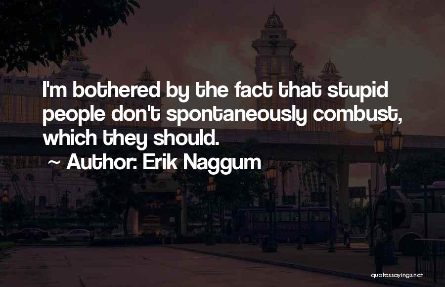 Erik Naggum Quotes 1025948