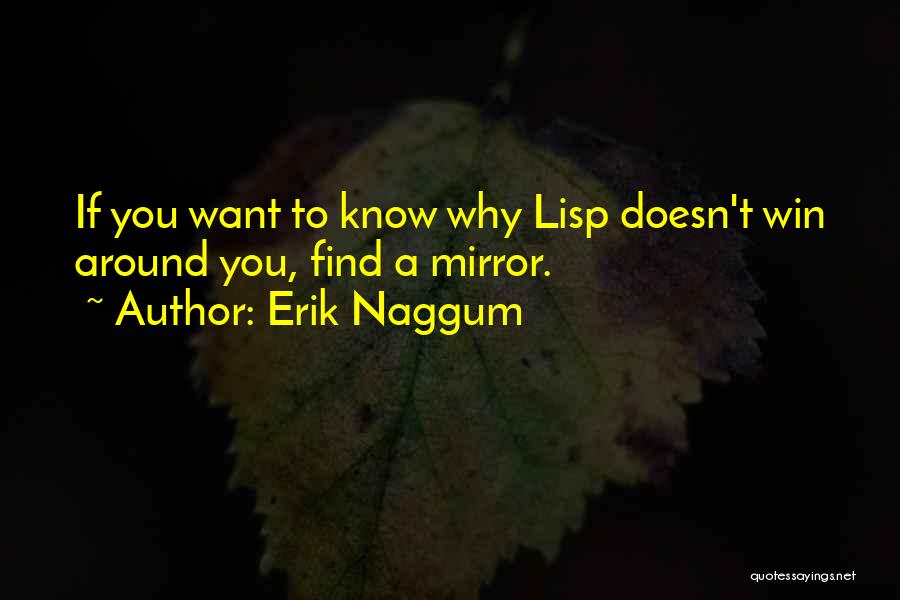 Erik Naggum Quotes 337897