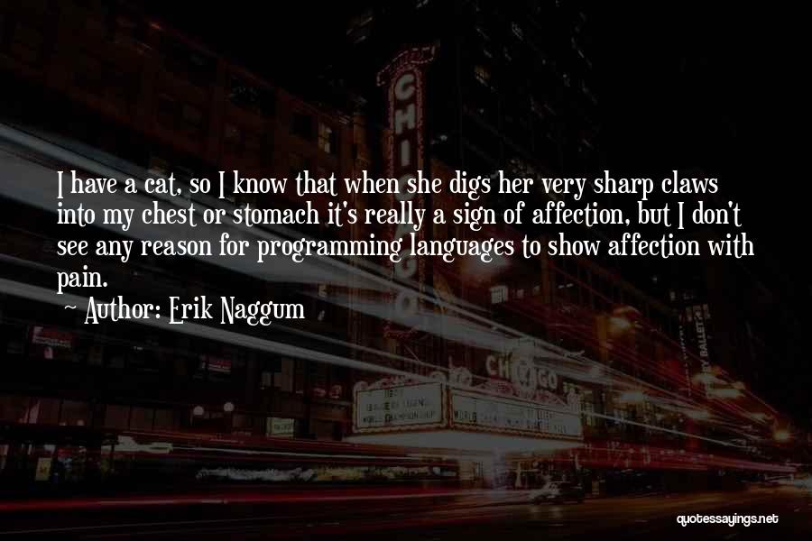 Erik Naggum Quotes 899980