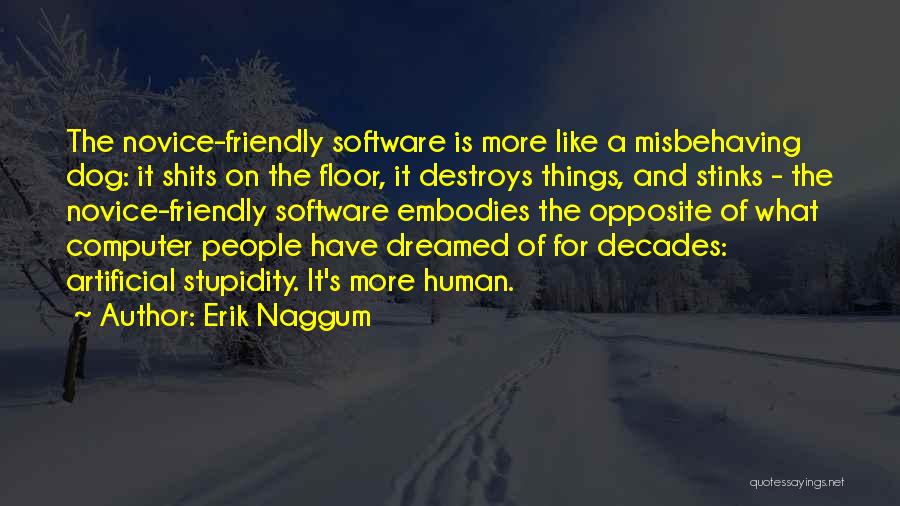 Erik Naggum Quotes 945921