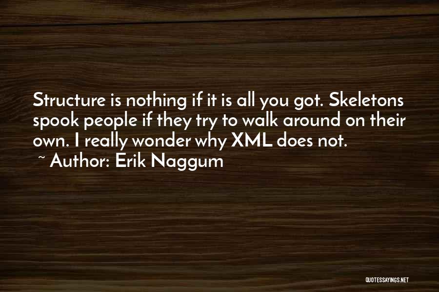 Erik Naggum Quotes 946206