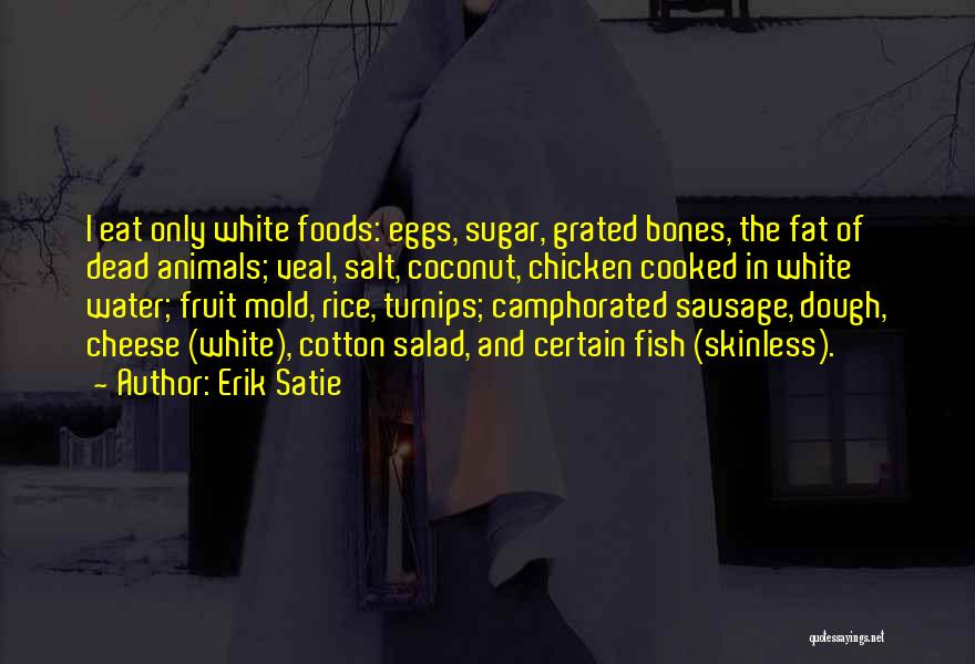 Erik Satie Quotes 143708