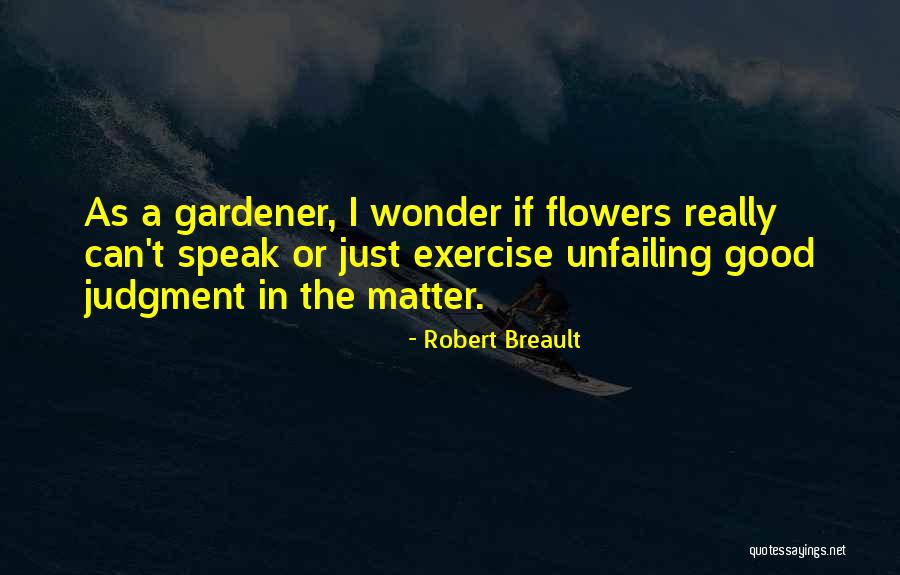 Erilux Quotes By Robert Breault Erilux Quotes By Robert Breault