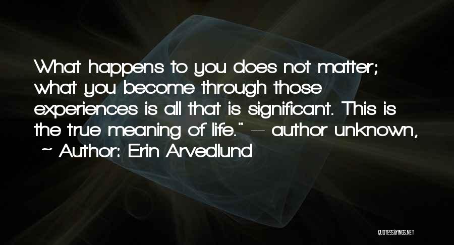 Erin Arvedlund Quotes 1103710