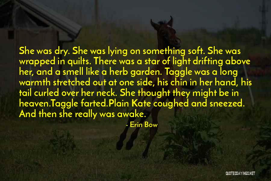 Erin Bow Quotes 1405383 Erin Bow Quotes 1405383