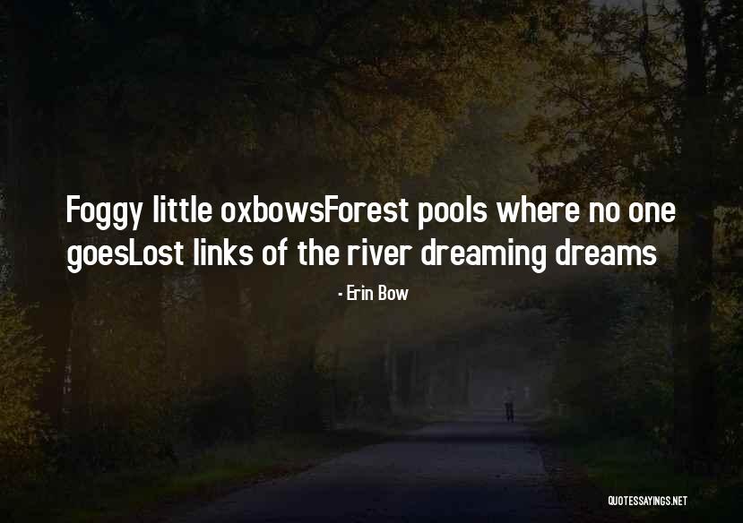 Erin Bow Quotes 246090 Erin Bow Quotes 246090