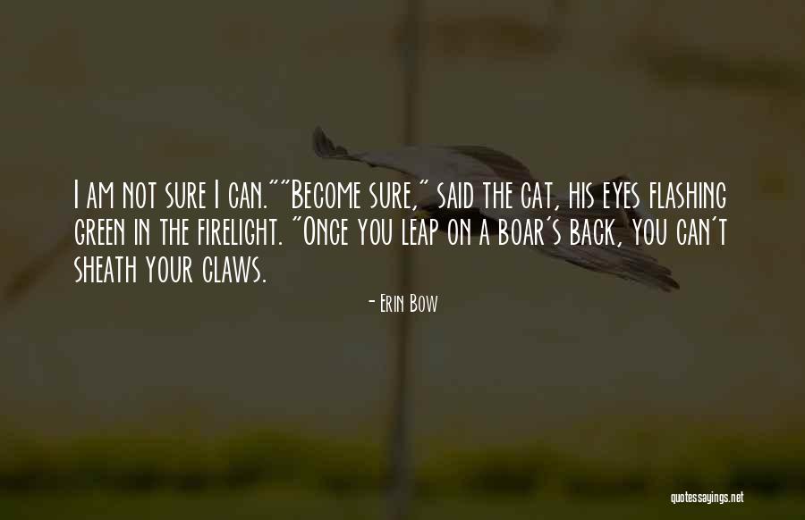 Erin Bow Quotes 460628 Erin Bow Quotes 460628