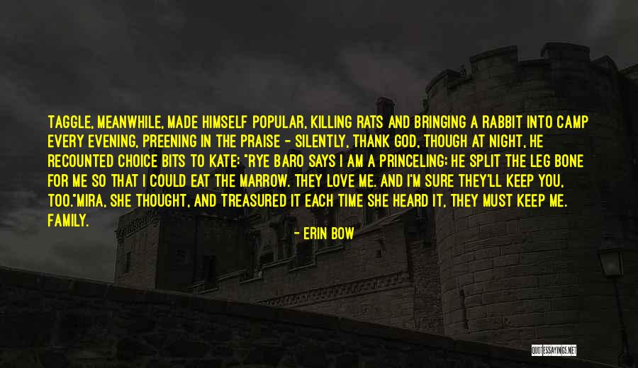 Erin Bow Quotes 852747