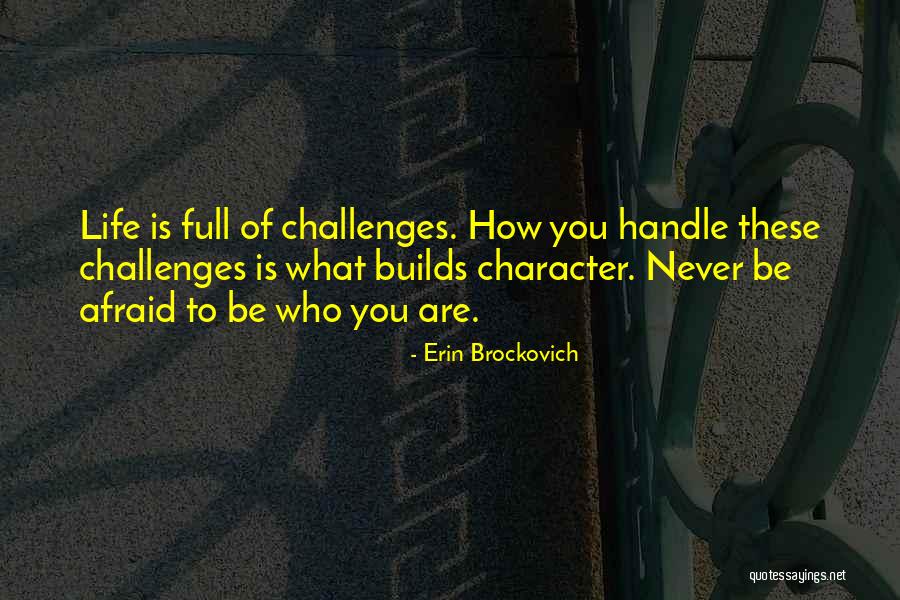 Erin Brockovich Quotes 1406207