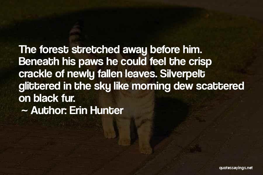 Erin Hunter Quotes 1358226