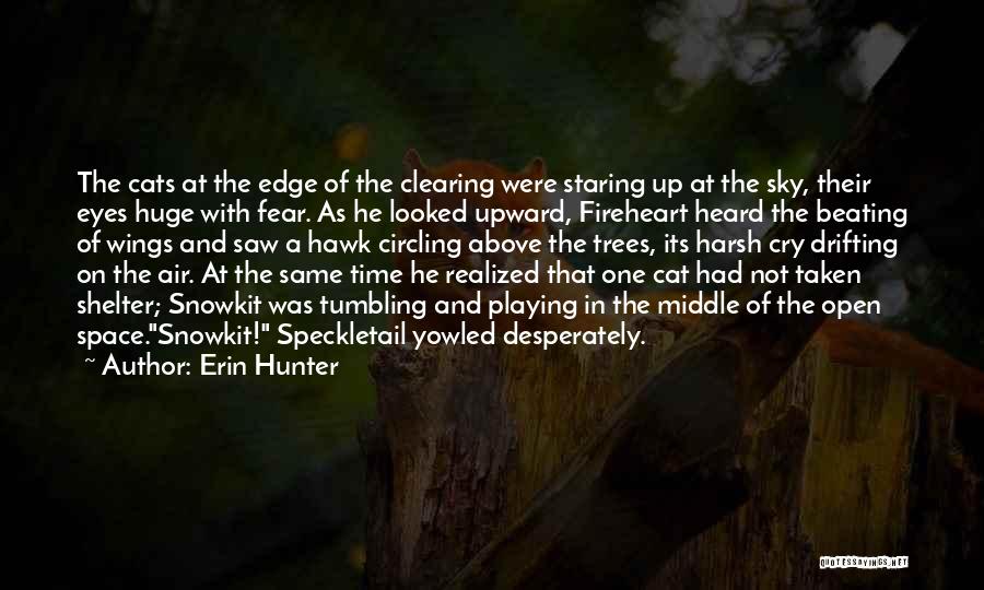 Erin Hunter Quotes 812190