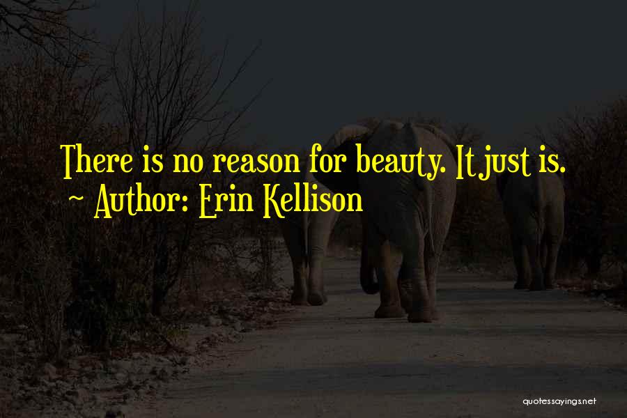 Erin Kellison Quotes 1850242