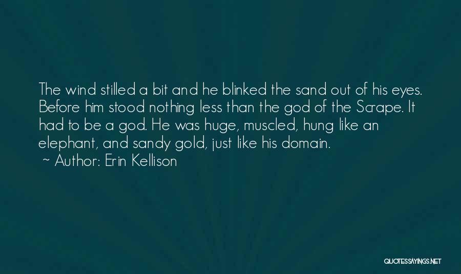 Erin Kellison Quotes 867751