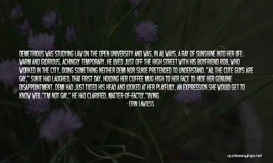 Erin Lawless Quotes 187441