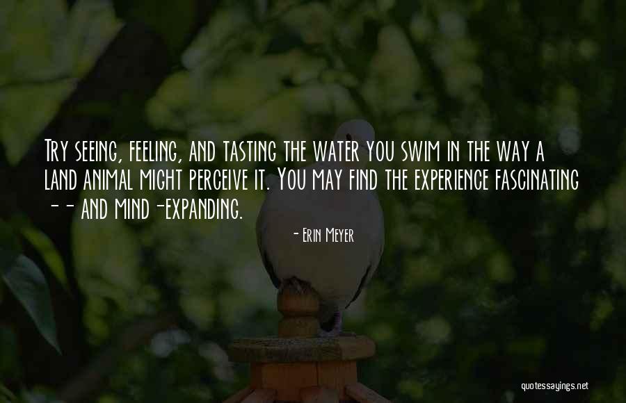 Erin Meyer Quotes 270741 Erin Meyer Quotes 270741