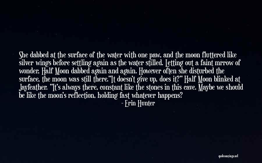 Erin Silver Quotes By Erin Hunter Erin Silver Quotes By Erin Hunter